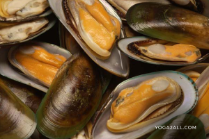 Green lipped mussel